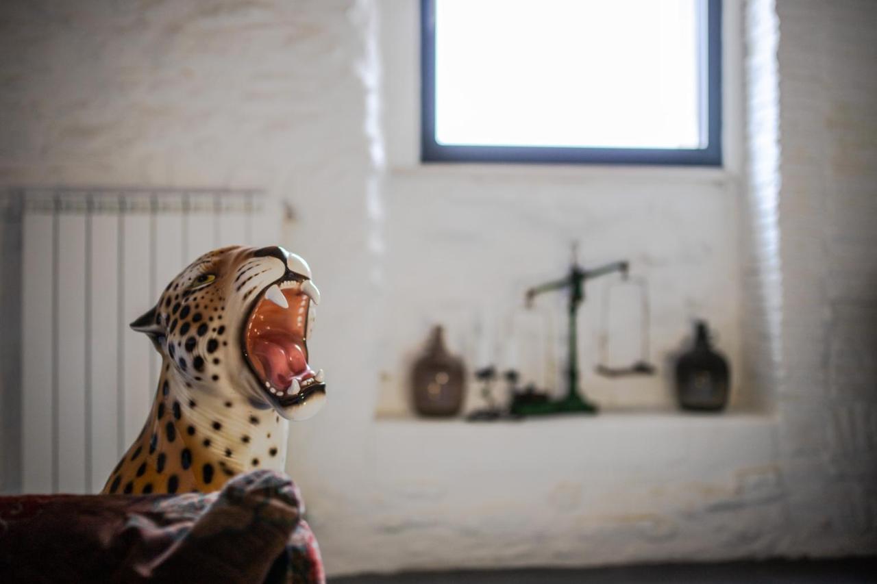 הוילה Irsina Vintage House In Centro Storico Basilicata Puglia מראה חיצוני תמונה